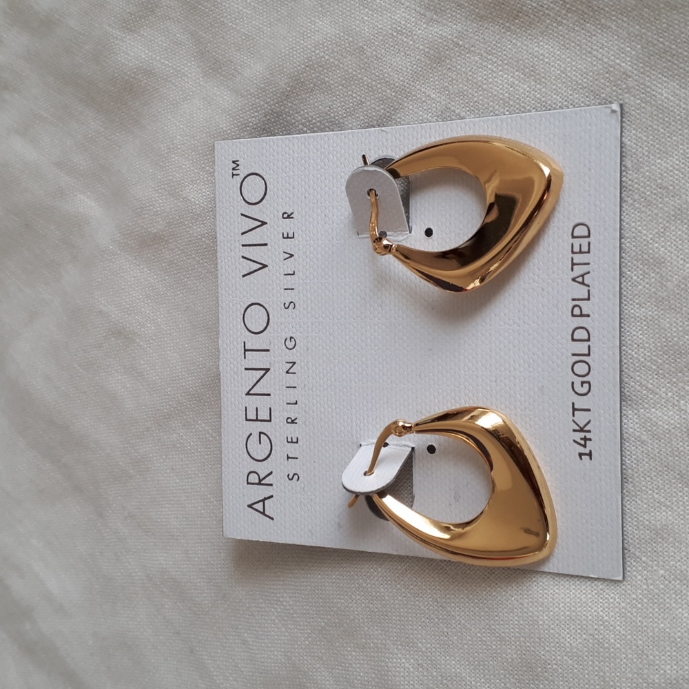 Argento Vivo Earrings